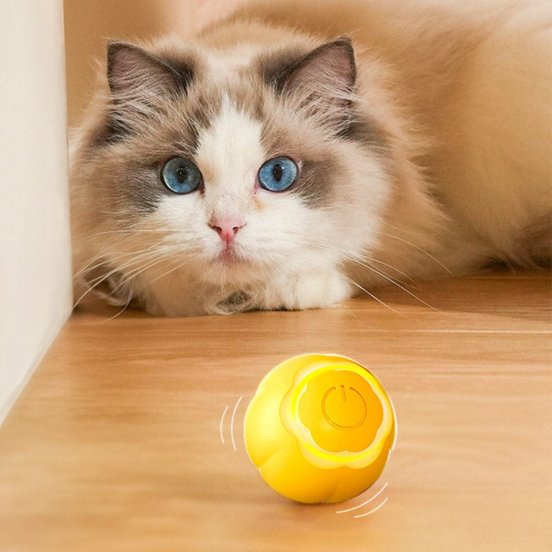 Snibble -  Interactieve Siliconen Kattenbal