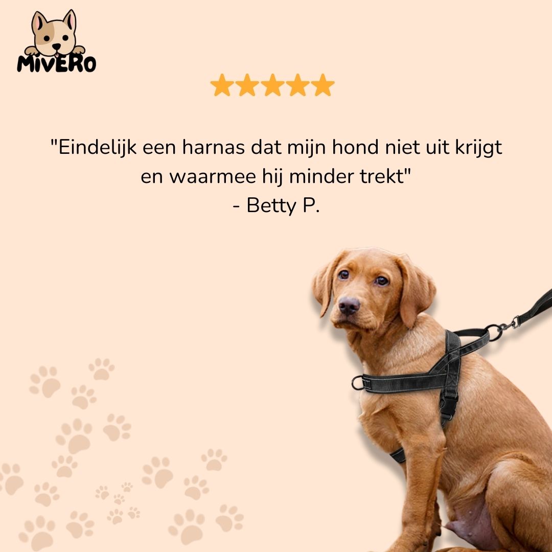 strapsure - no-pull verstelbaar hondentuig