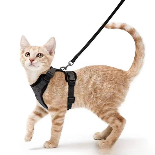 Harnix -  Ademend Verstelbaar Kattenharnas