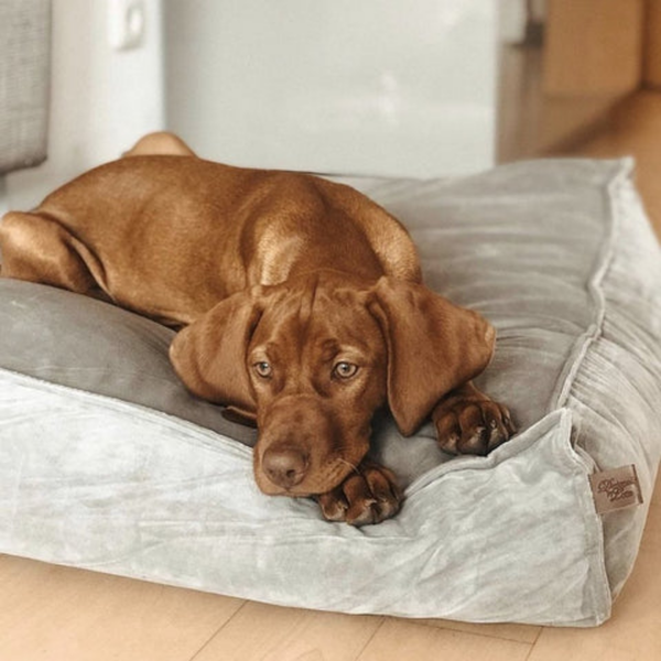 Velura - Fluwelen Wasbare Kattenkussen