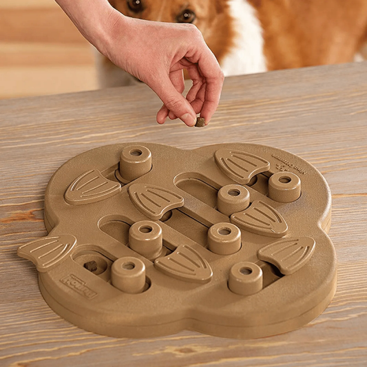 Brainie - Mentale Traktatiepuzzel Hond