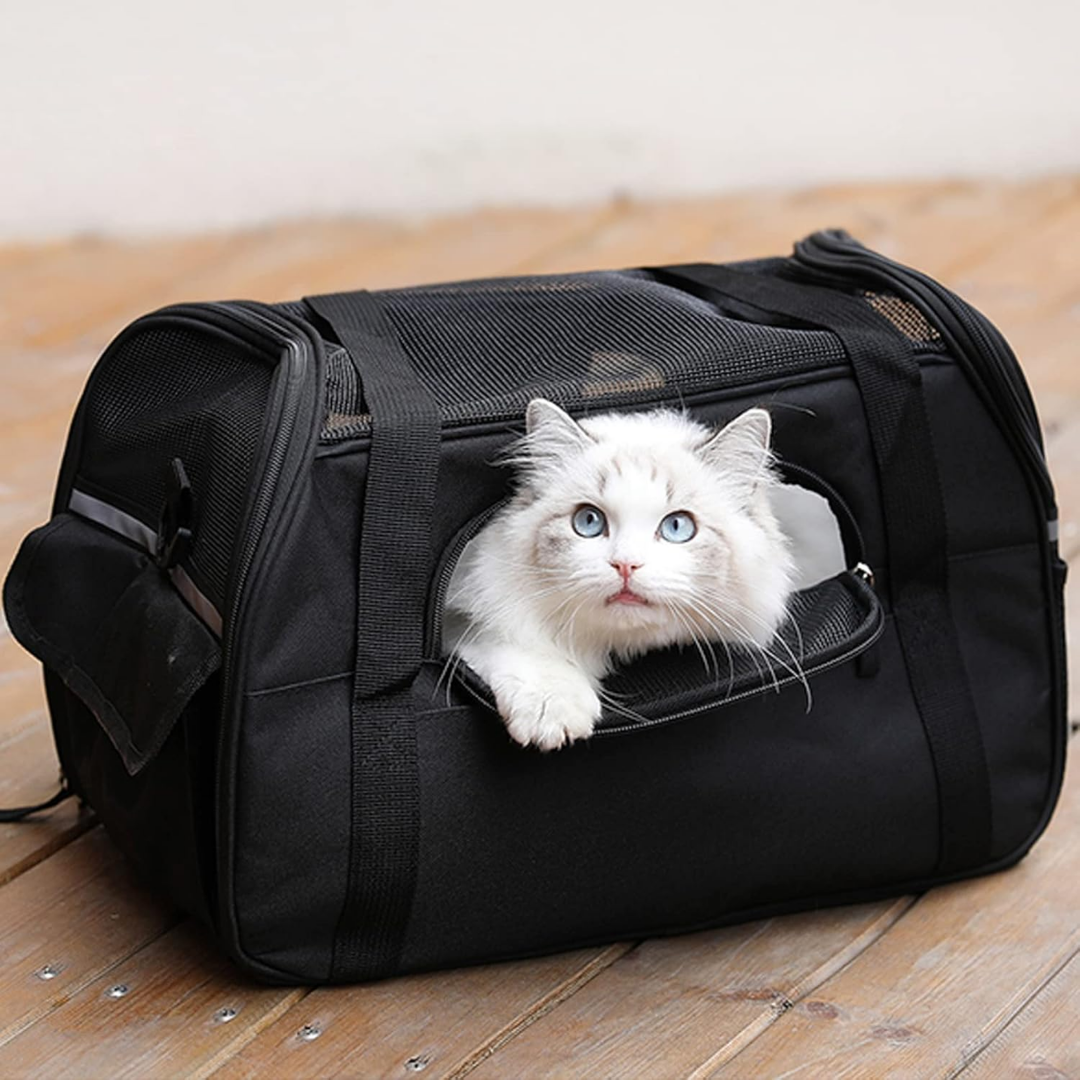 PawVoyage - Comfortabele Reis Hondentas