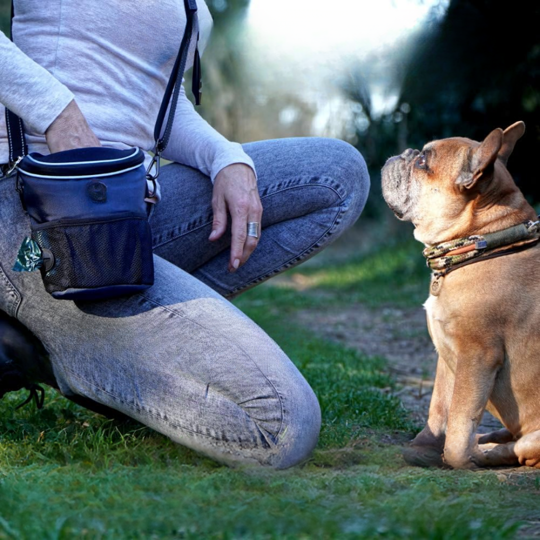 Packsy - Handsfree Trainings Voertasje