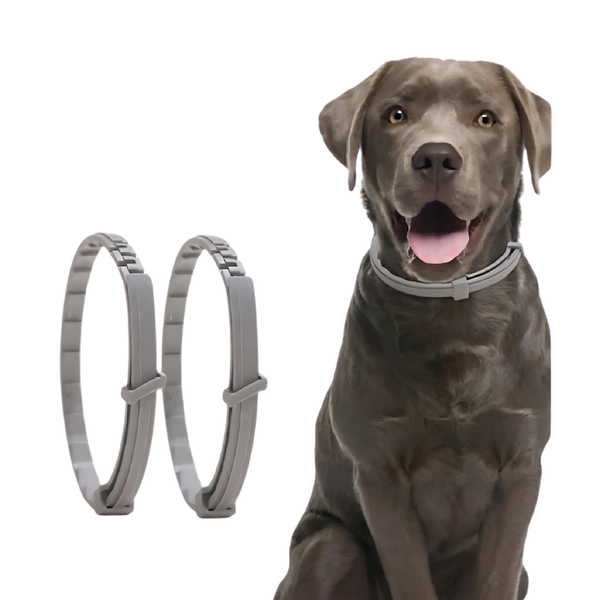 Product placeholder
