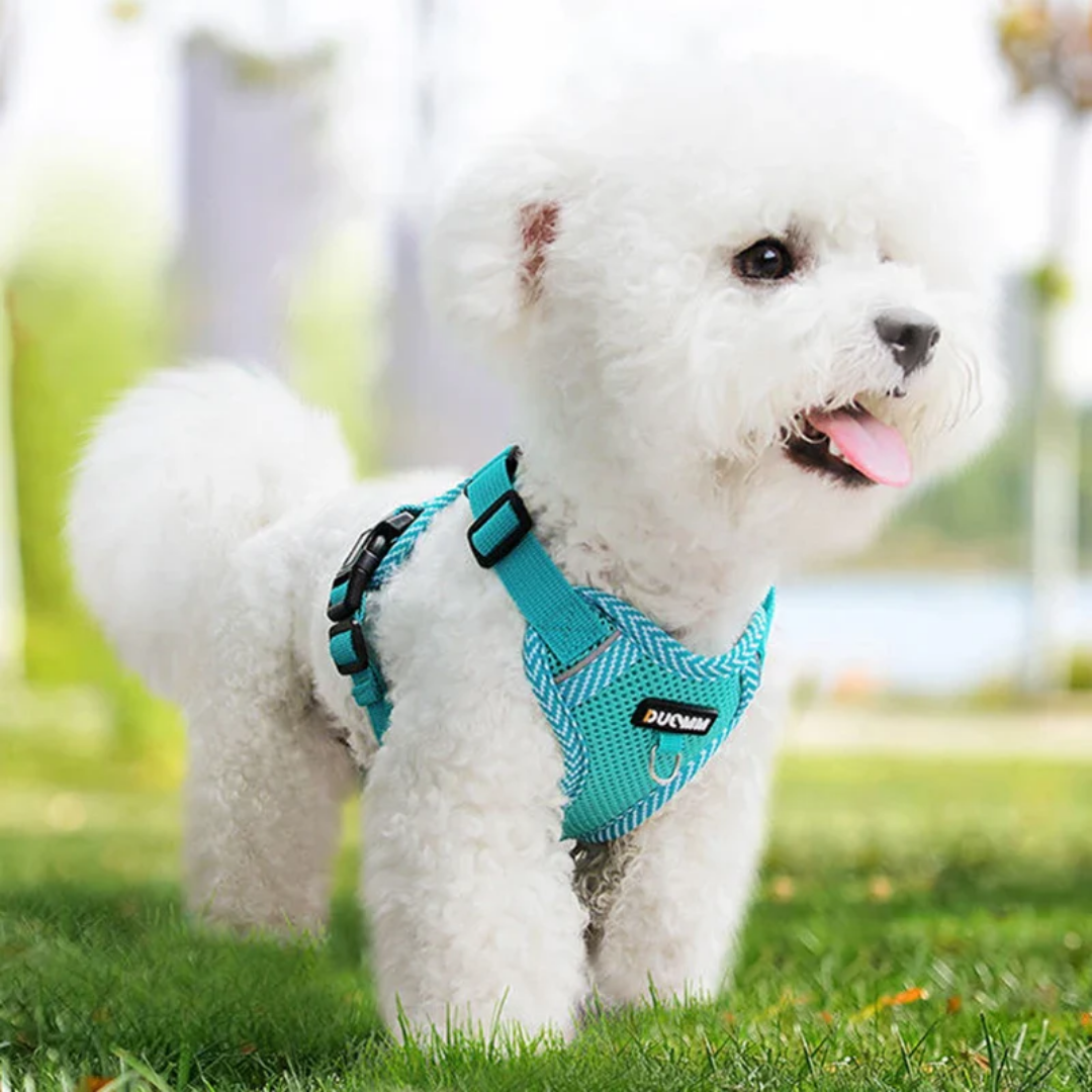 PawFit - Verstelbaar Mesh Hondentuig
