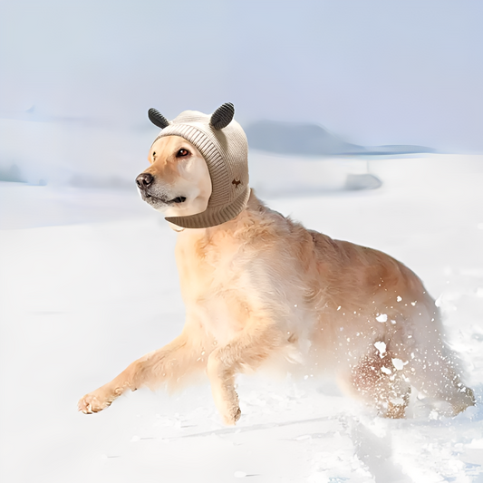 WoofWrap - Ademende Winter Hondsjaal