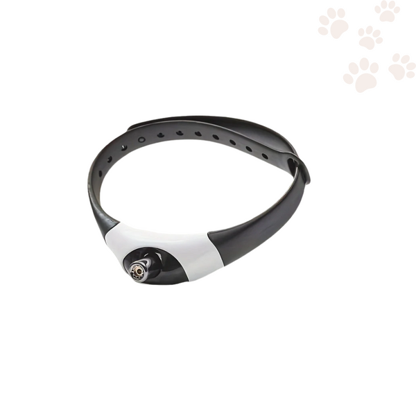 LaserSpeel - Interactieve Huisdier Halsband