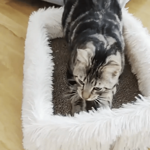 Katnap - Omkeerbaar Krab Kattenbed
