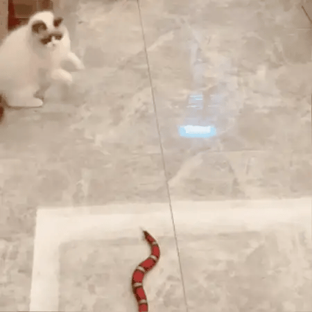 SlitherFun - Interactieve Slangenrobot Huisdierenspeelgoed