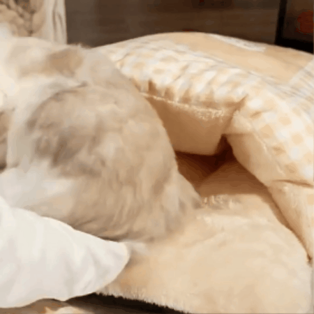 FluffCove - Gesloten Verkoelend Kattenbed