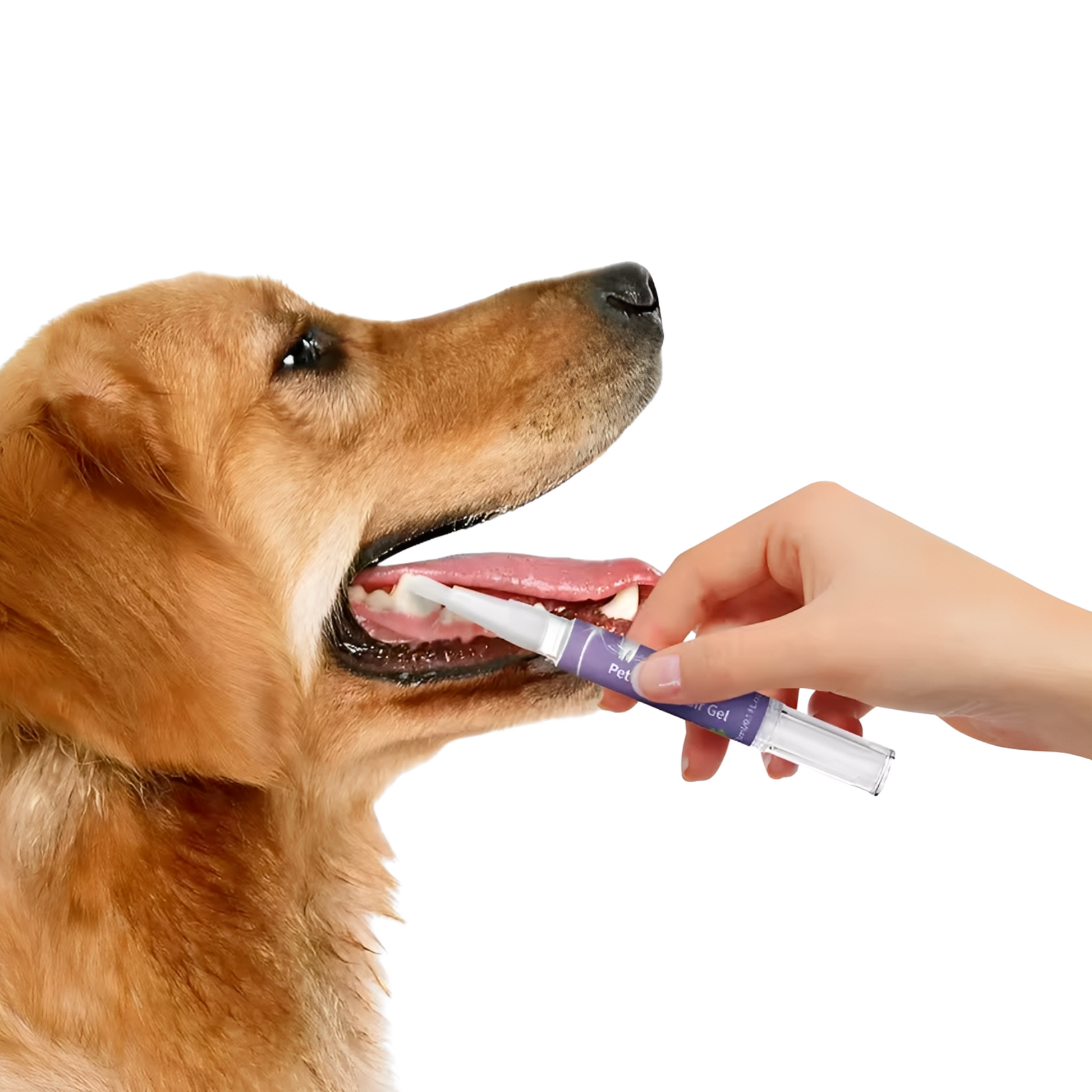 FreshPet - Frisse adem en gezonde tanden voor je huisdier!