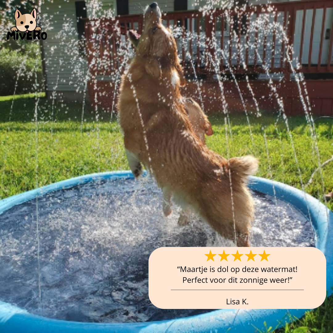 AquaPaws - Verfrissend speelplezier voor elke hond!