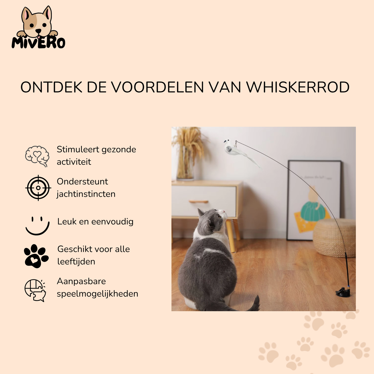 WhiskerRod - Verstelbare Hengel Kattenspeeltje