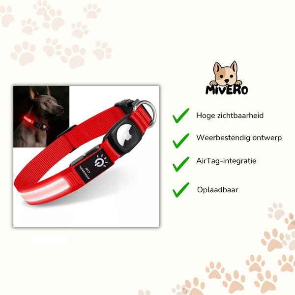 GlowTag - Waterdichte LED Dierenhalsband