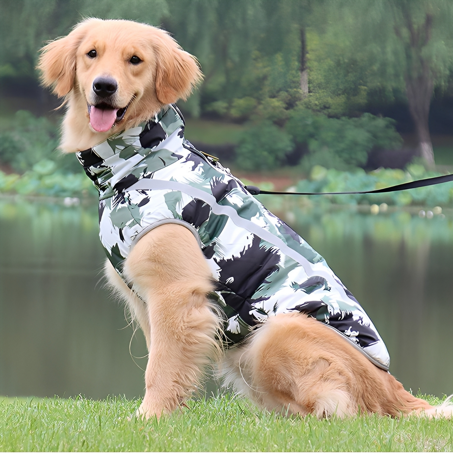 PawProof - Waterdichte Reflecterende Hondencoat