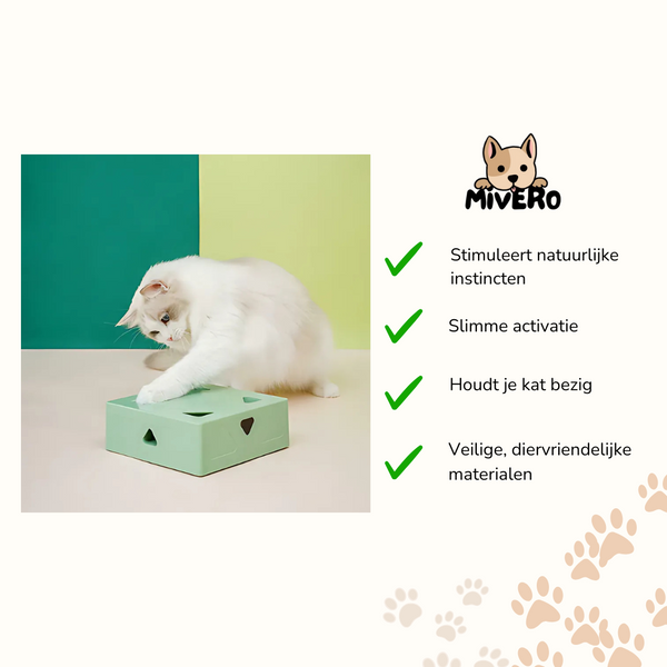 WhiskerBox -  Interactieve Puzzel Speelbox