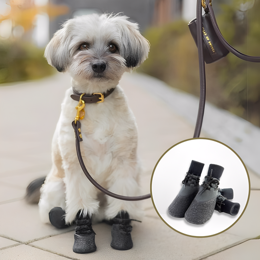 PawGrip - Waterdichte Antislip Hondenschoenen