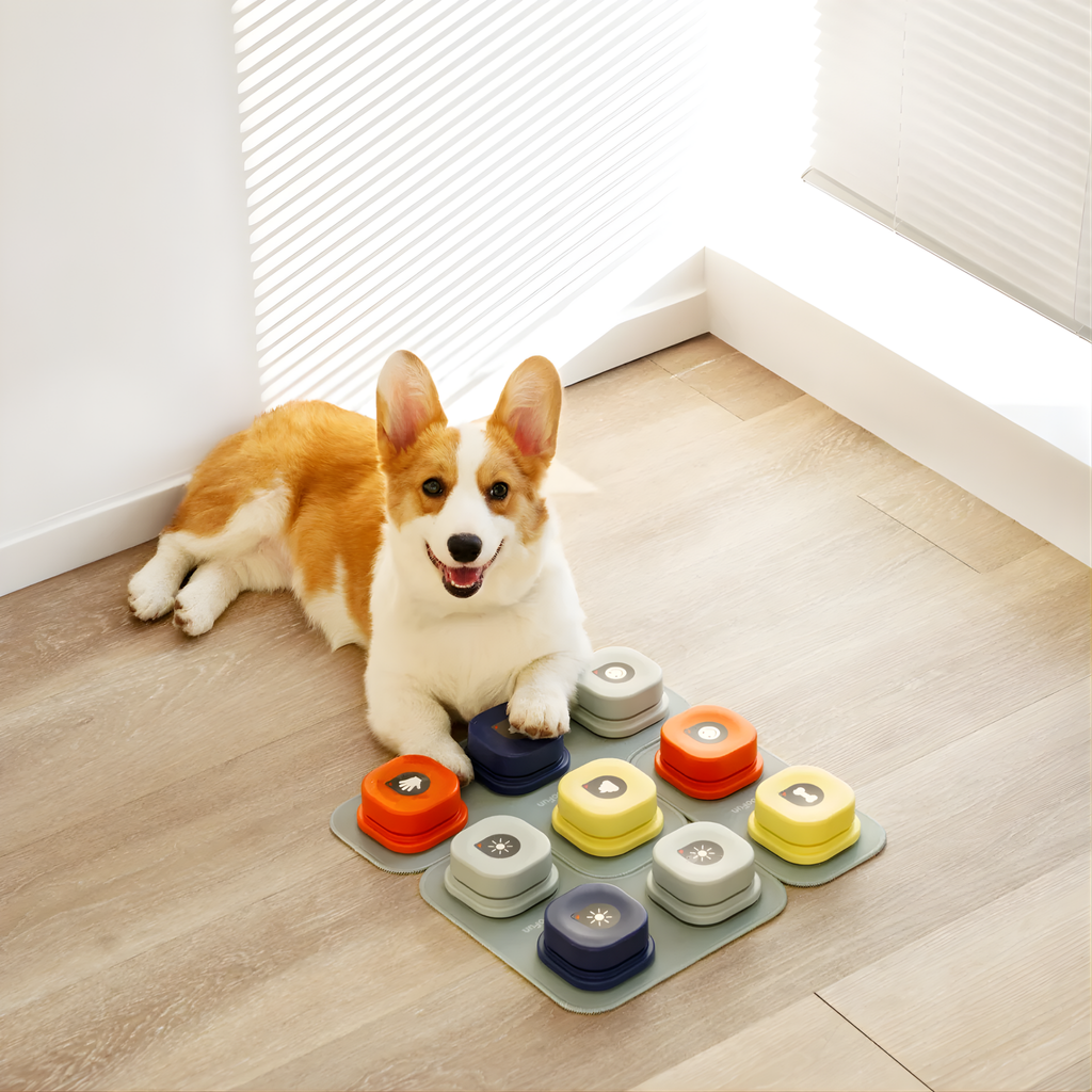 Pawtalk - Praatknoppen Honden Met Opnamefunctie