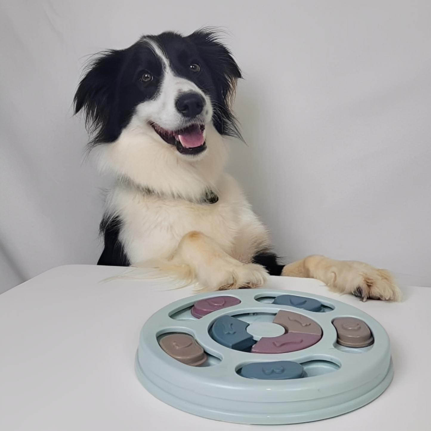 PuzzleWoef - Interactieve Snuffel Puzzel