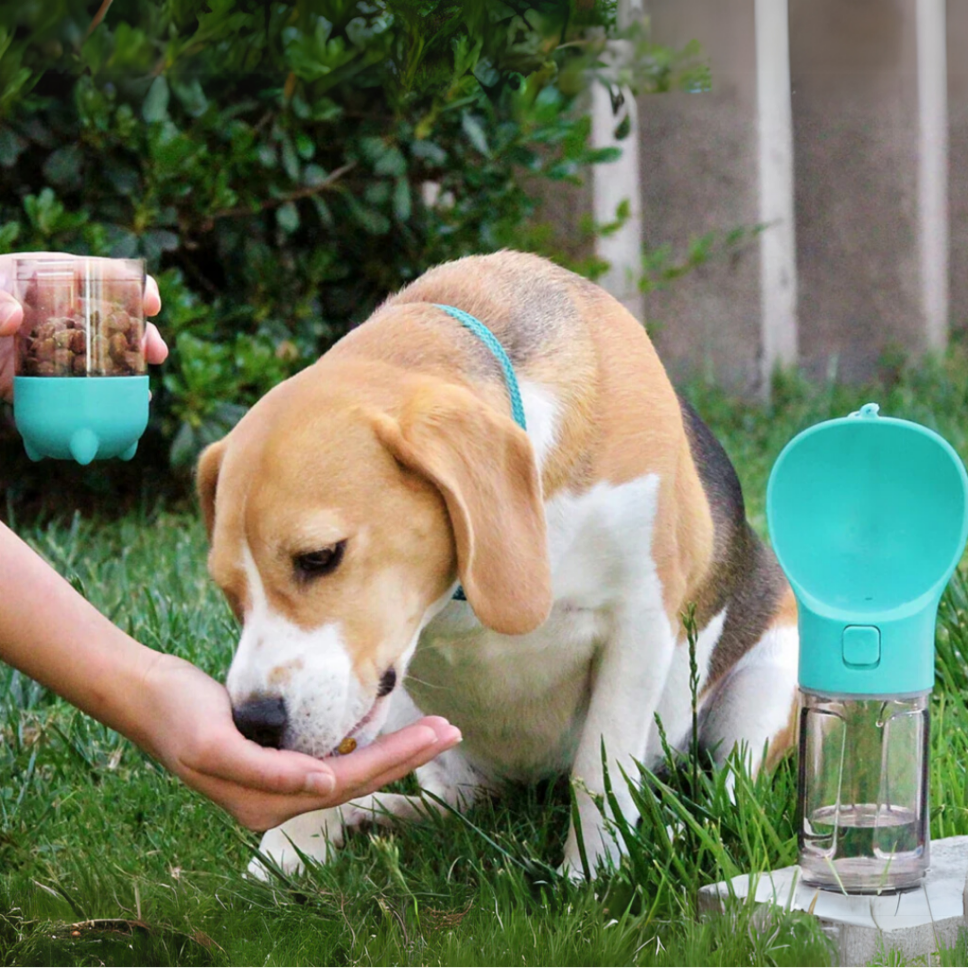 Floky - De alles in 1 oplossing voor avonturen met je hond!