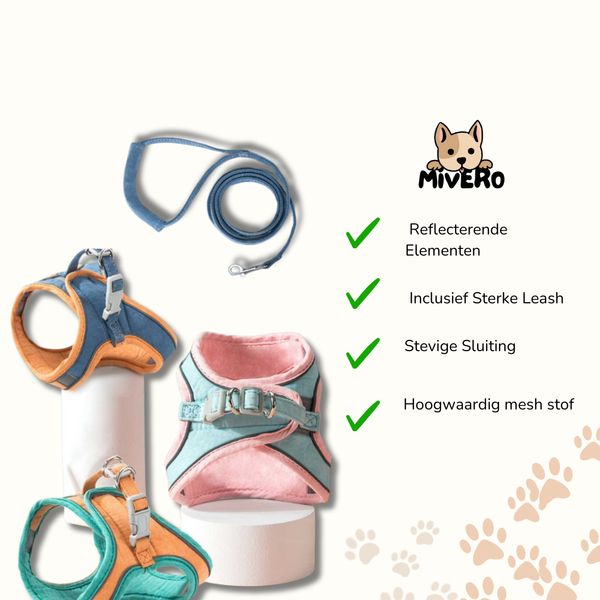 Catventure -  Verstelbaar Veiligheidstuigje Kat