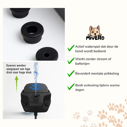 Pawsplash - Interactieve Verkoelende Hondenspeelfontein