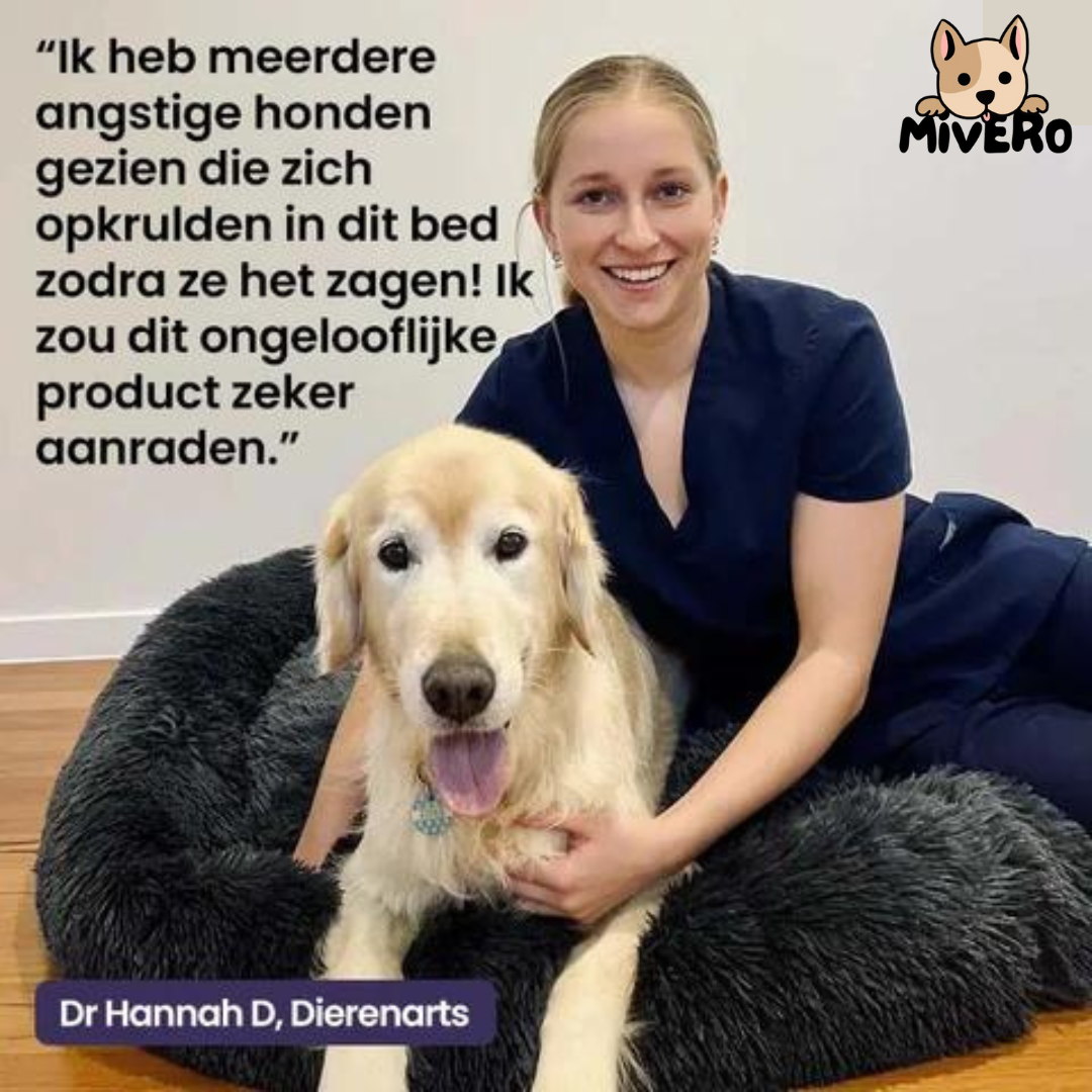 Cloud 9 Hondenbed - Ultiem comfort voor uw hond!