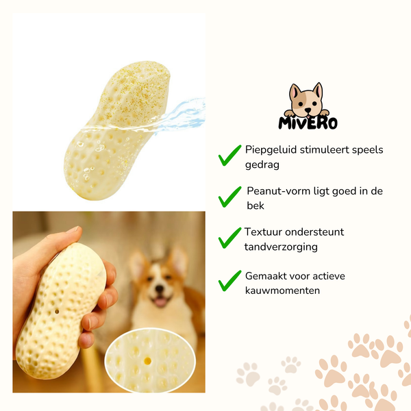 Squeaknut  - Kauwstimulerend Piepend Hondenspeeltje