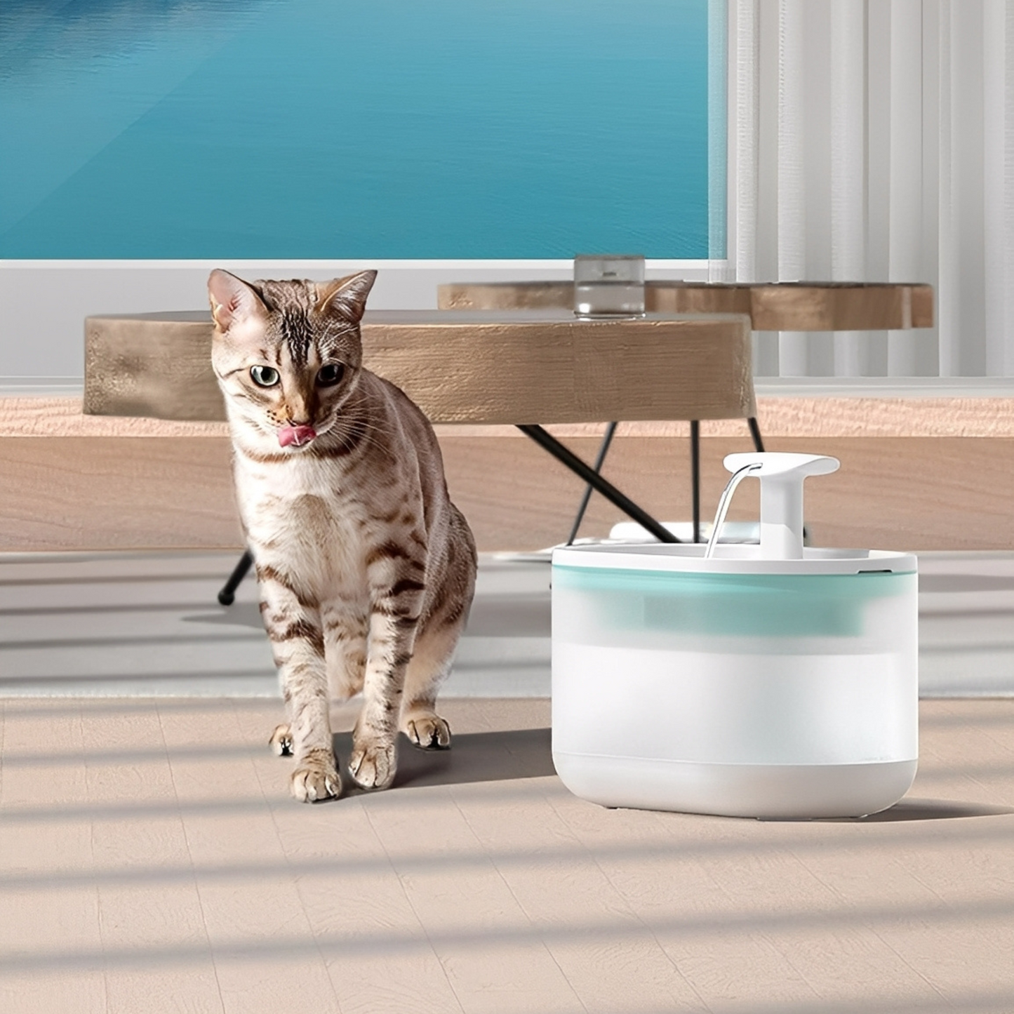 AquaFlow - Bescherm je kat tegen gevaarlijke bacteriën!