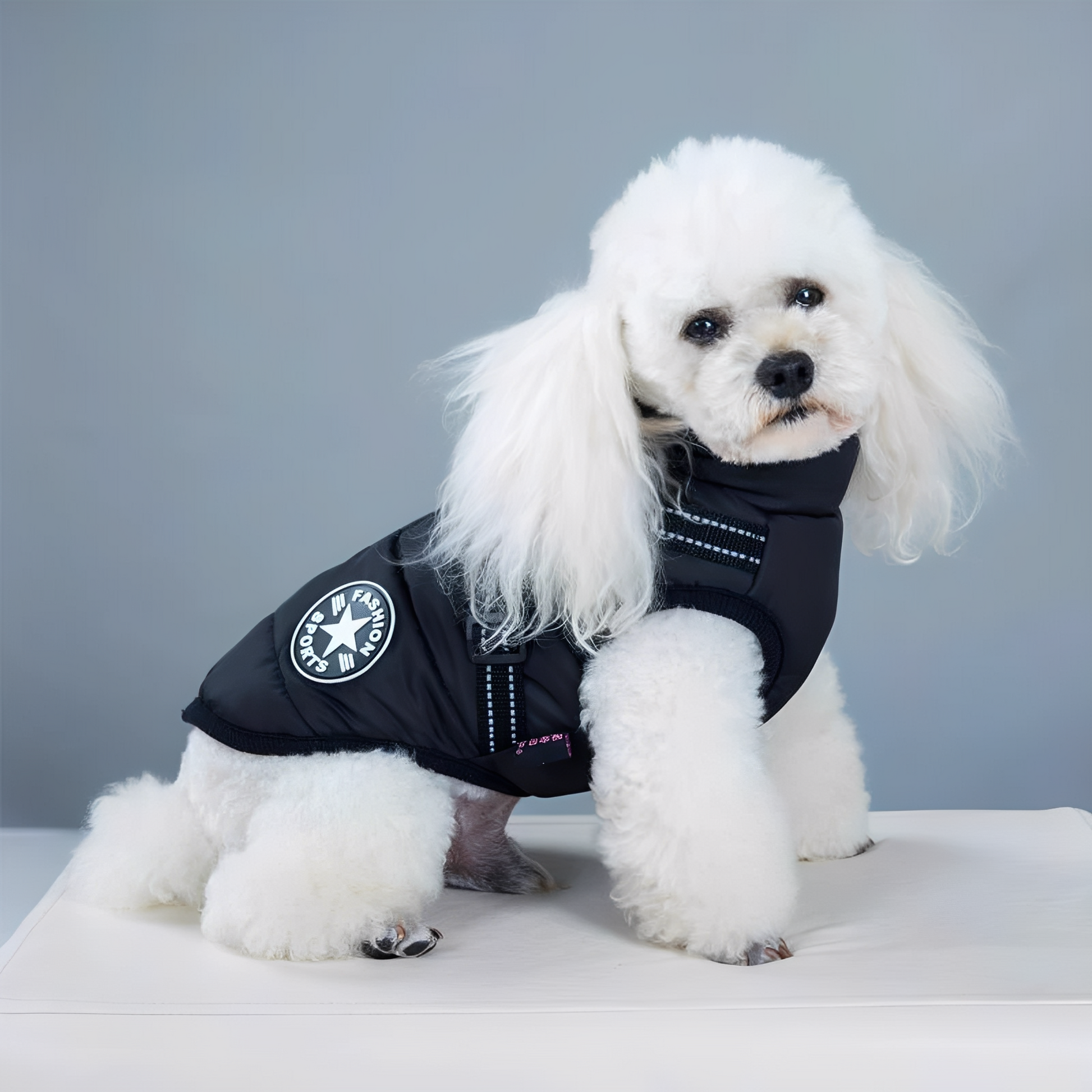 PawShield - Honden Winterjas Winterjas Voor Hond