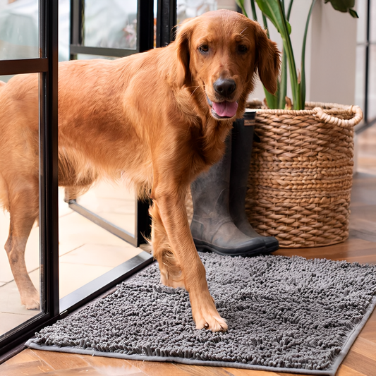 CleanPaw - Nooit meer last van vieze pootafdrukken in huis!