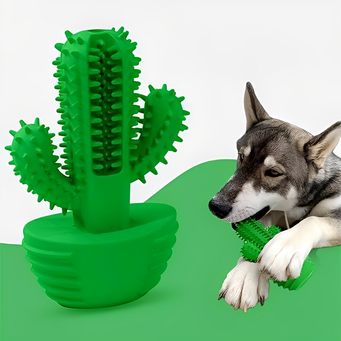 Gummle - Rubberen Cactus Hondenspeeltje