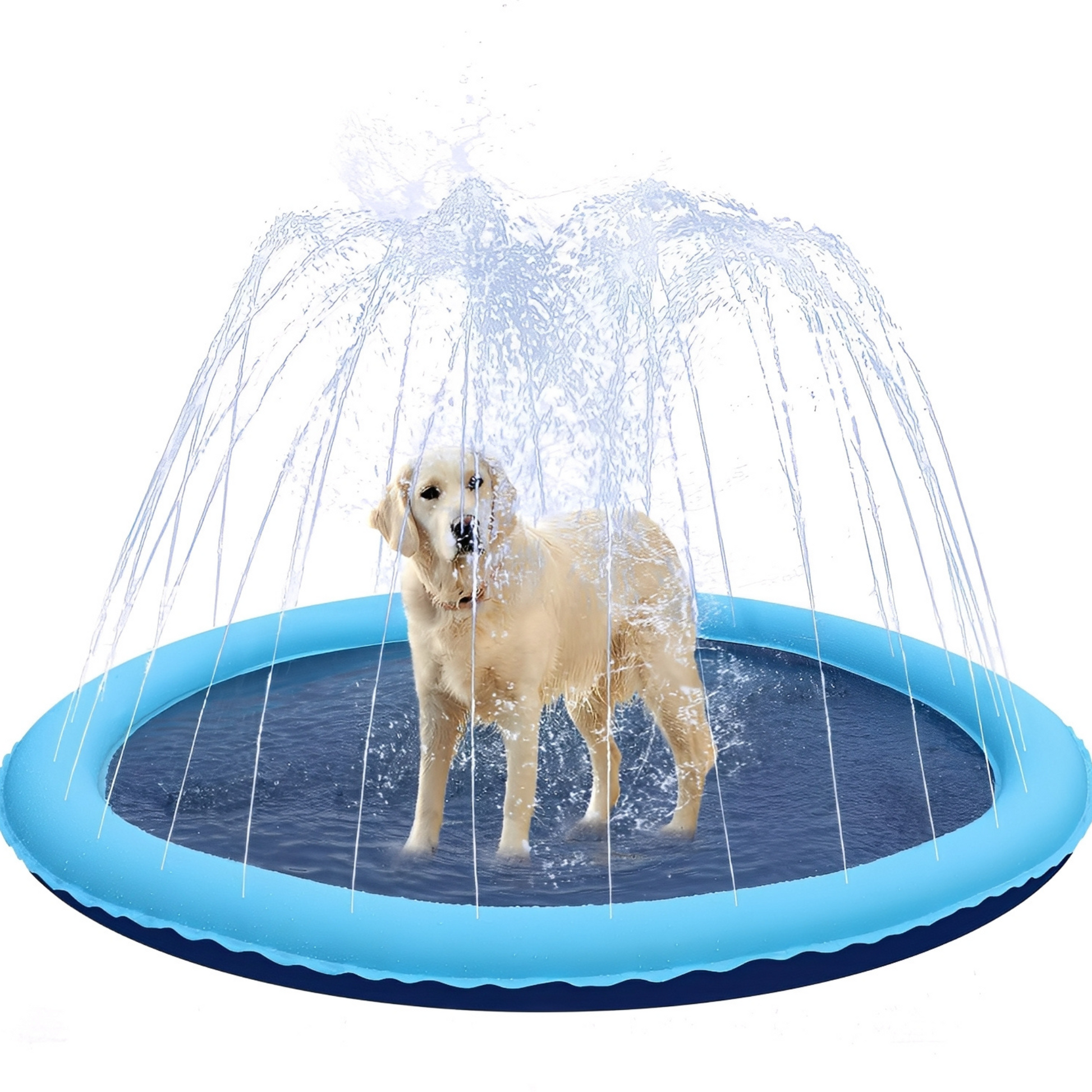AquaPaws - Verfrissend speelplezier voor elke hond!