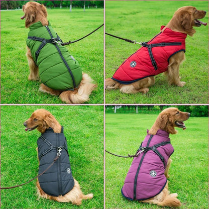 PawShield - Warm & Waterdicht voor de Winter!