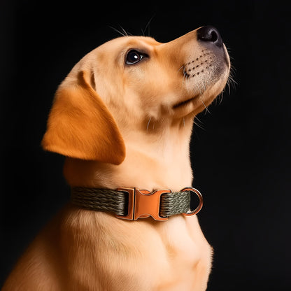 Snuggleband - Zachte Tweed Hondenhalsband