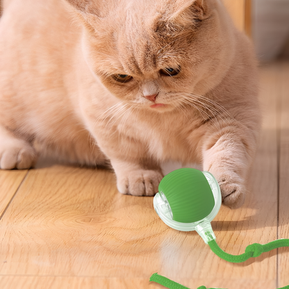ZoomBall - Interactieve Hondenspeelbal