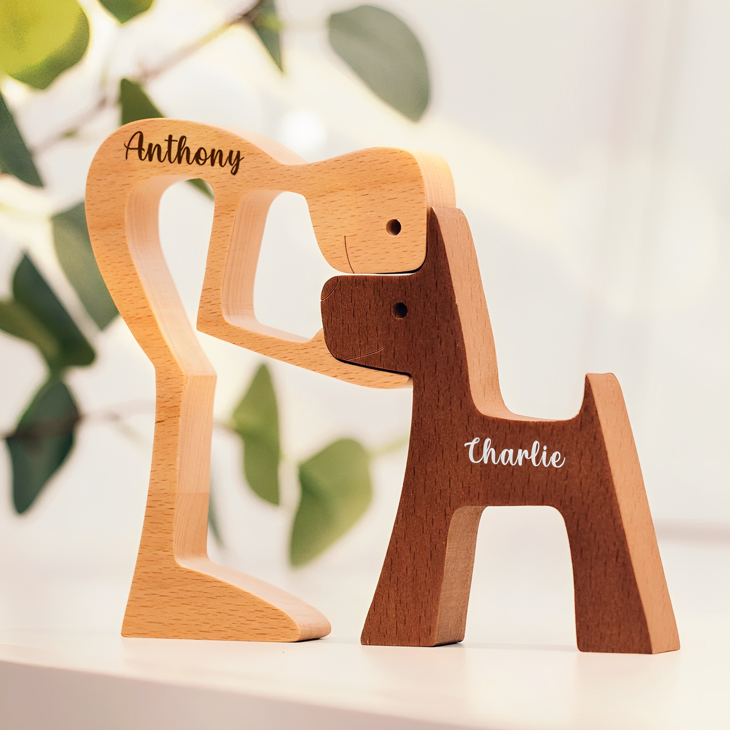 ForeverPaw - Voor altijd verbonden met jouw hond Huub