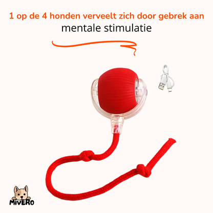 ZoomBall - Interactieve Hondenspeelbal