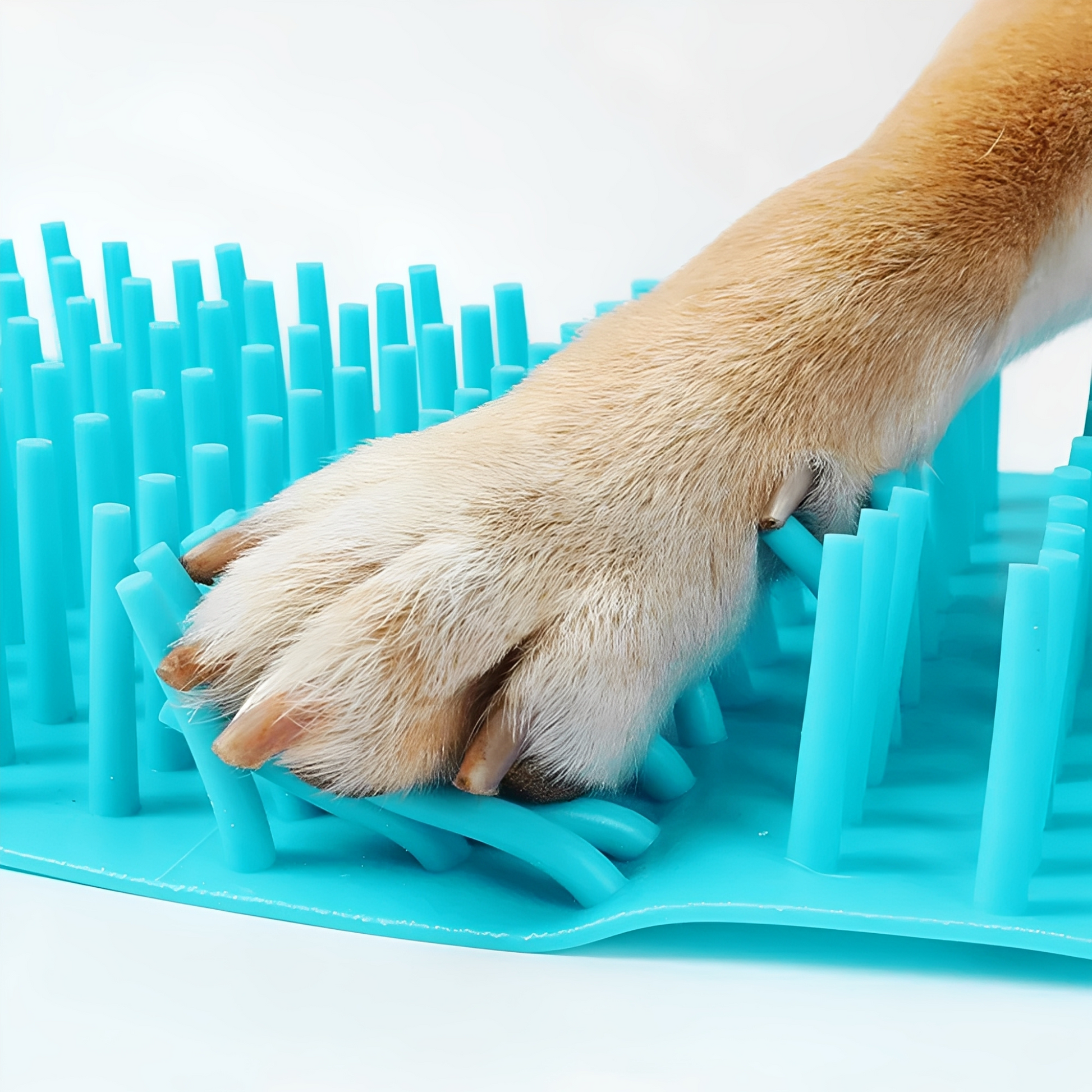 PawClean - Pootjes fris, vloeren schoon!