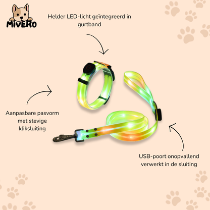 LumaPaw - Verlichte USB-Hondenhalsband