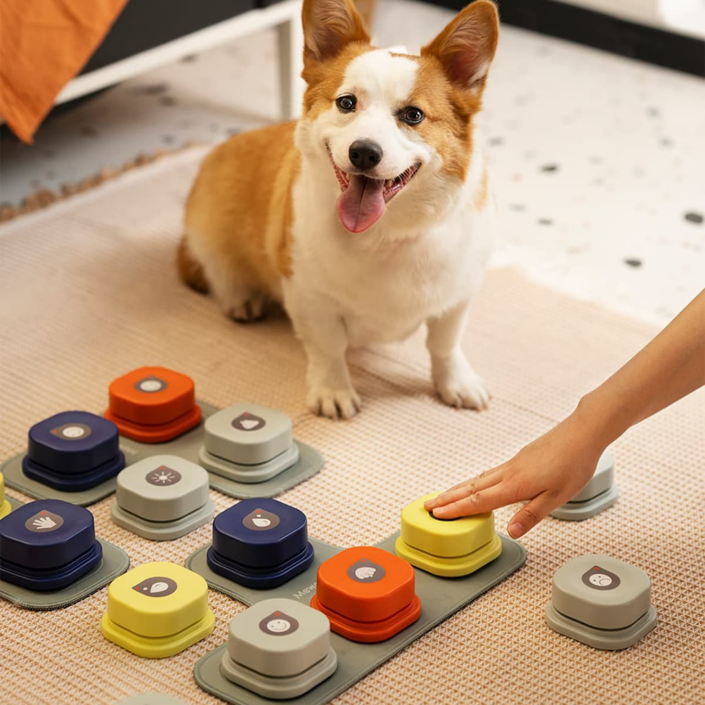 Pawtalk - Praatknoppen Honden Met Opnamefunctie