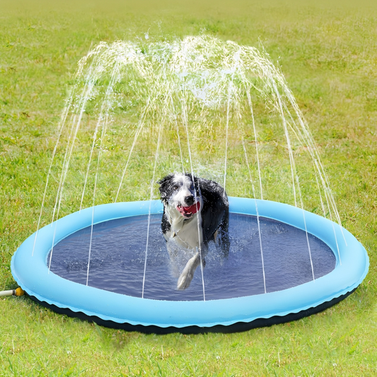 AquaPaws - Verfrissend speelplezier voor elke hond!
