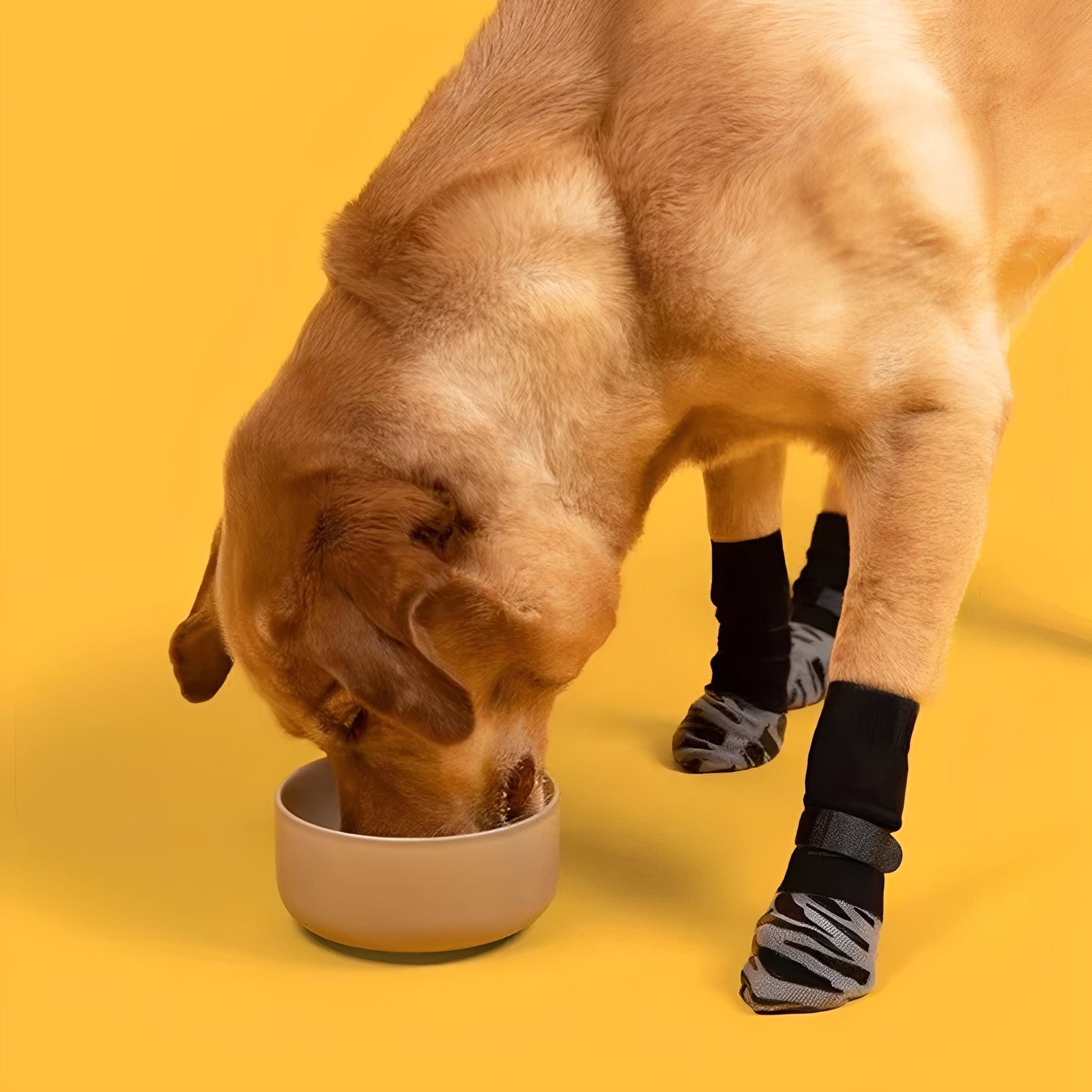 SteadyPaws - Antislip Honden Gripsokken