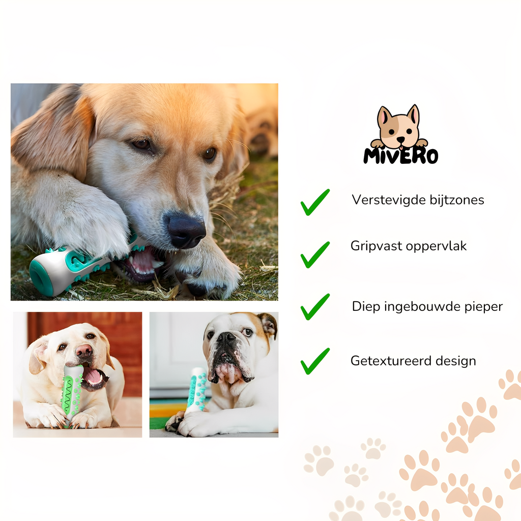 TuffBite -  Kauwbestendig Interactief Hondenspeeltje