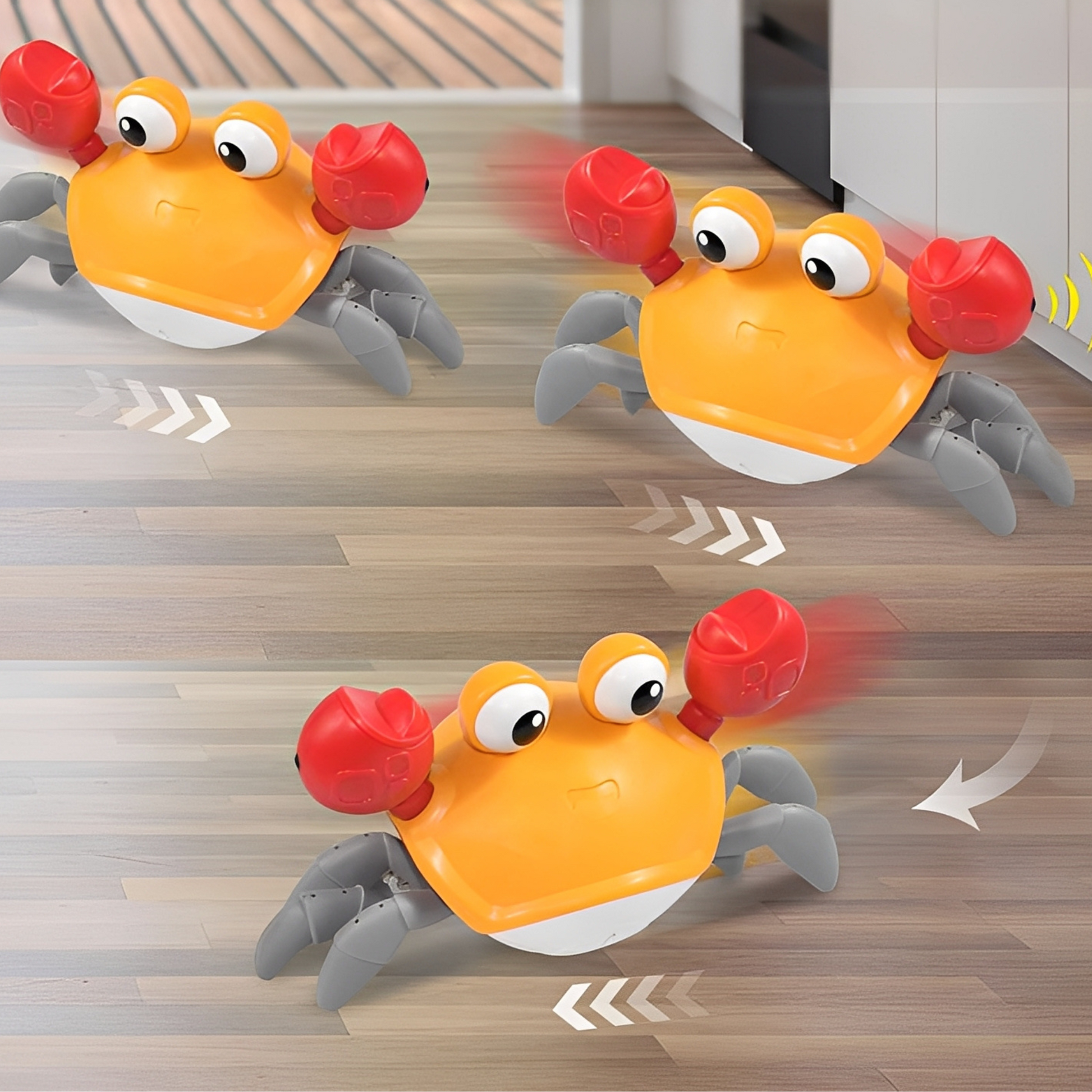 Crabby - De ultieme uitdaging voor elke hond!
