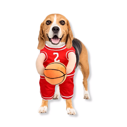 DunkinDog - Maak jouw hond een ster!