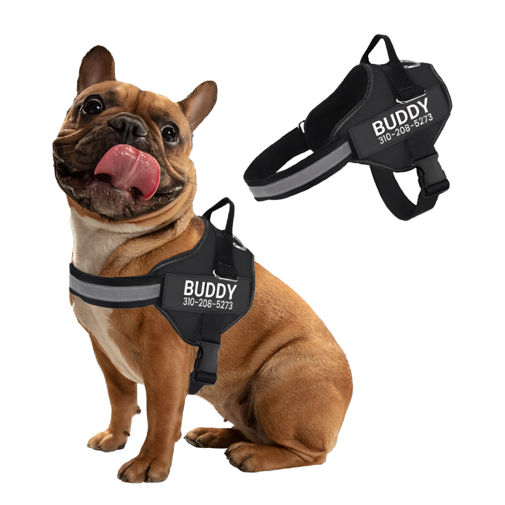 PawGuard - Gepersonaliseerd Hondentuigje