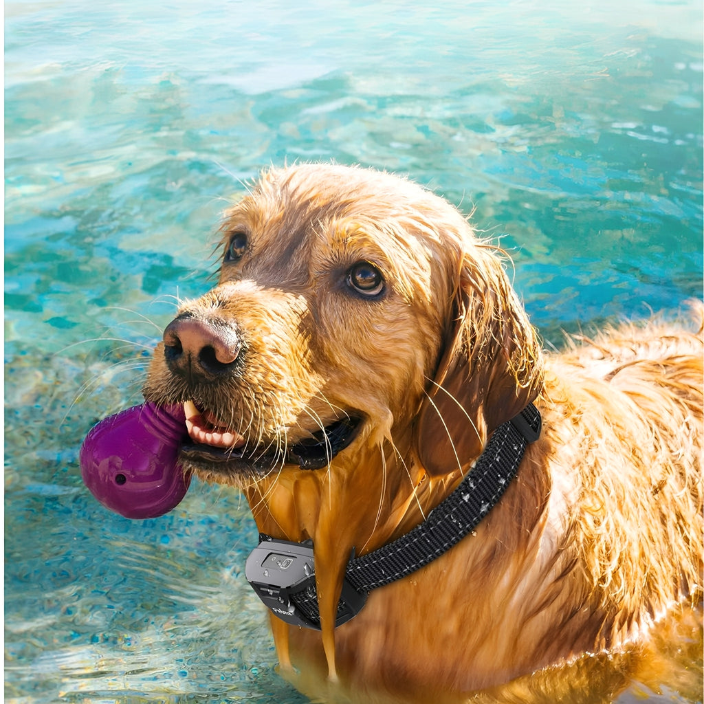 GlowTag - Waterdichte LED Dierenhalsband