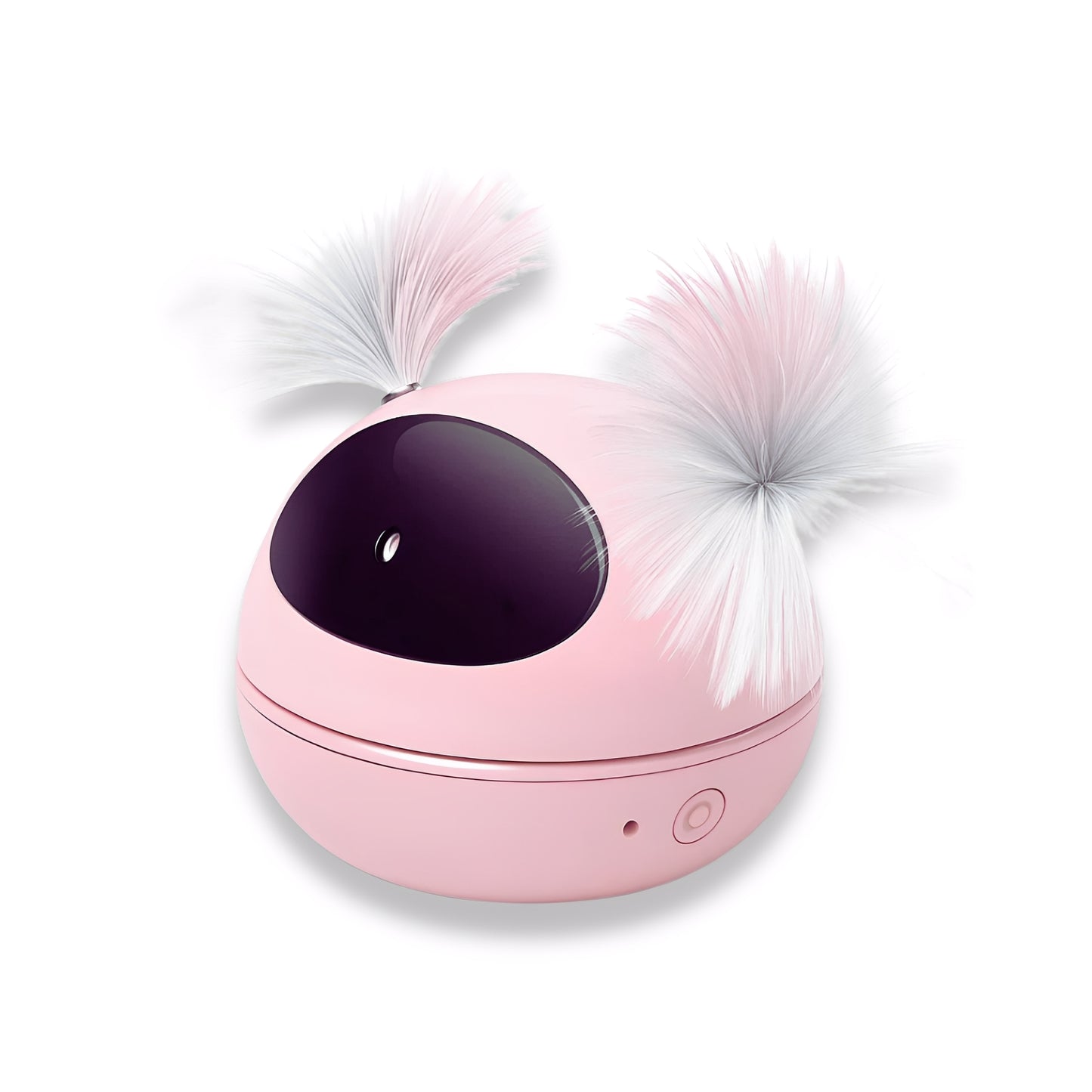 LazrLoop -  Automatische Interactieve Kattenlaser