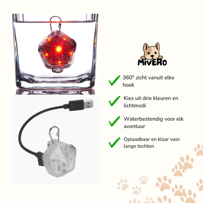 Vizion - Oplaadbaar Waterdicht Hondenlicht